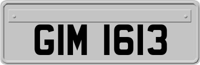 GIM1613