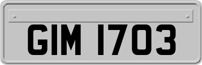 GIM1703