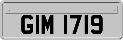 GIM1719
