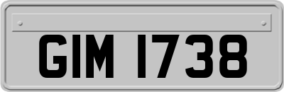 GIM1738