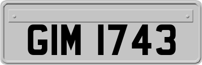 GIM1743