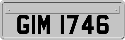 GIM1746