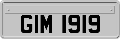 GIM1919