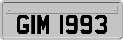 GIM1993