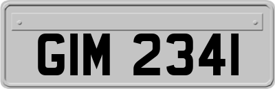 GIM2341