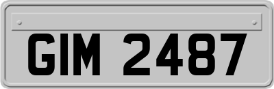 GIM2487