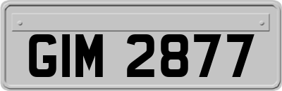 GIM2877