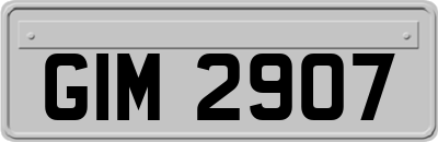 GIM2907