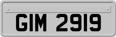 GIM2919