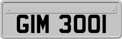 GIM3001