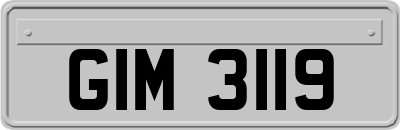 GIM3119