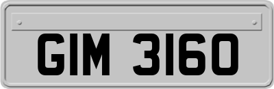 GIM3160