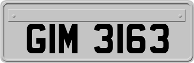GIM3163