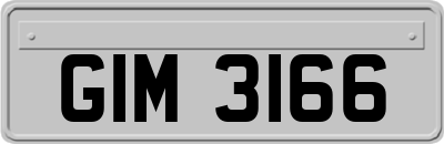 GIM3166