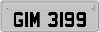 GIM3199