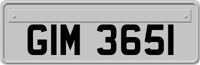 GIM3651