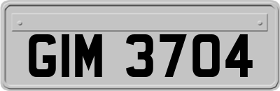 GIM3704