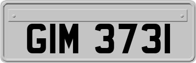 GIM3731
