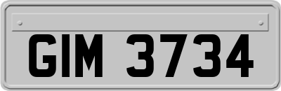 GIM3734