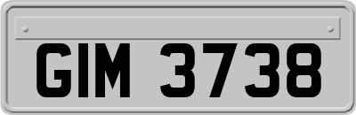 GIM3738
