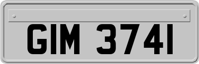 GIM3741