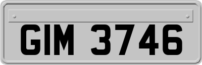 GIM3746