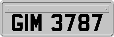 GIM3787