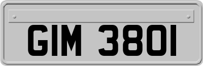 GIM3801