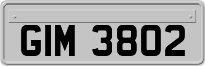 GIM3802