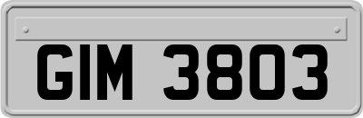 GIM3803