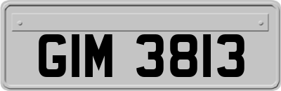 GIM3813