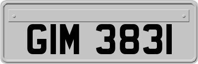 GIM3831