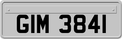 GIM3841