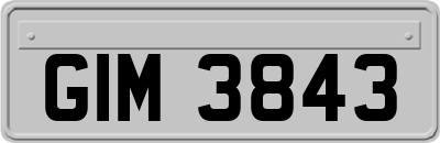 GIM3843