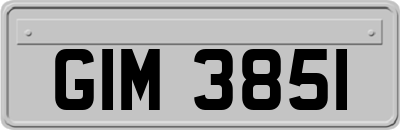 GIM3851