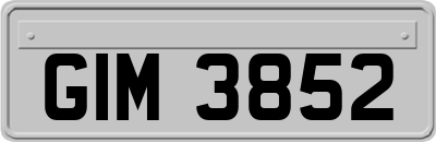 GIM3852