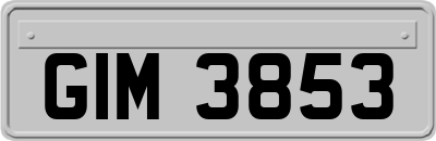 GIM3853