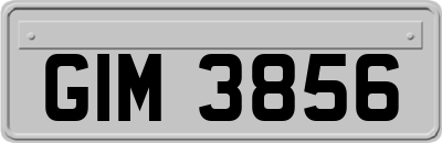 GIM3856