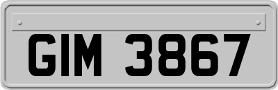 GIM3867
