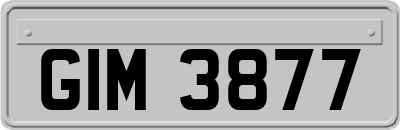 GIM3877
