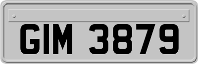 GIM3879