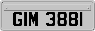 GIM3881