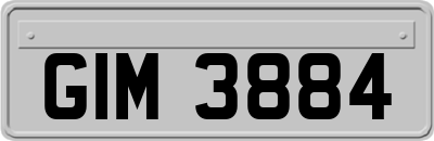 GIM3884