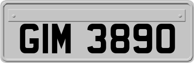 GIM3890