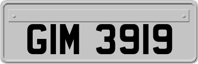 GIM3919