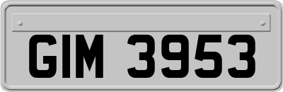 GIM3953