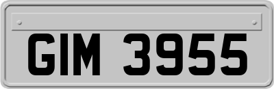 GIM3955