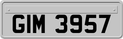 GIM3957