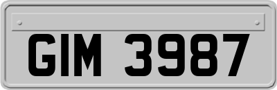 GIM3987