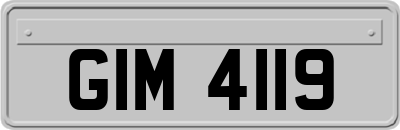 GIM4119